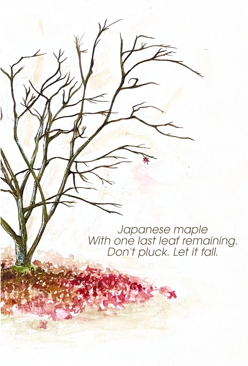 Japanese maple / With one last leaf remaining. / Don't pluck. Let it fall.