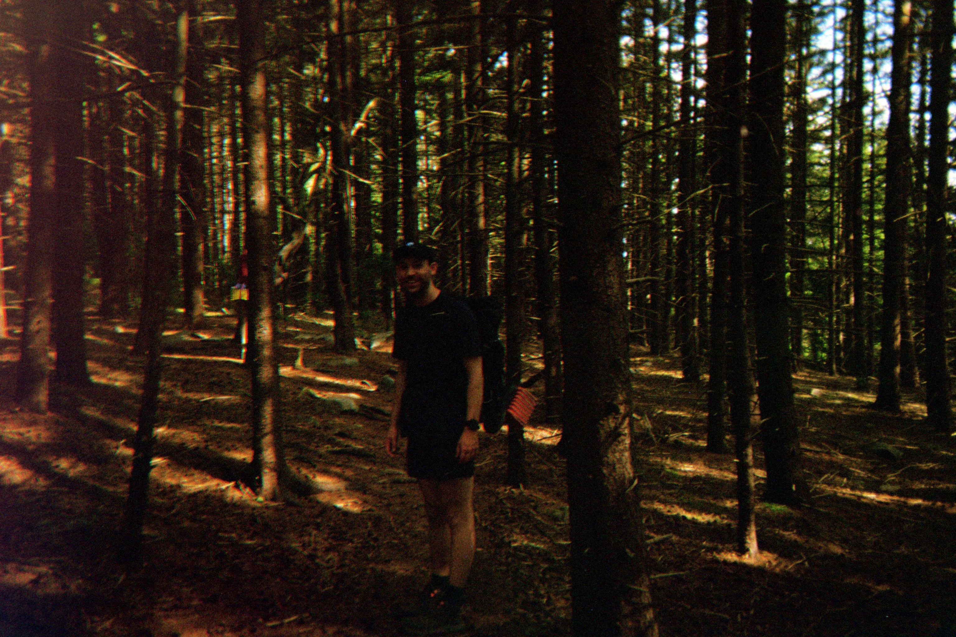 The writer standing in a sun-dappled forest