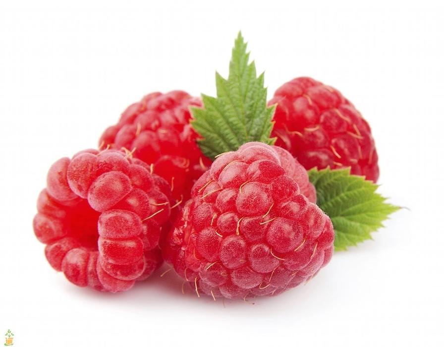 four raspberries